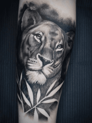Lioness by Andy Wharton #tattoo #lion