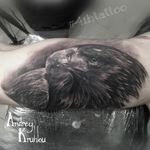#tattooed #tattoos #ink #dynamicink @4ih_tattoo #AndreyKruhlou #blackandgray #graywash #Minsk #guestspots #tattooartist #tattooart #tattoostyle #artist #art #tattoophotography #animaltattoo #guestspottattoo #guestspot #tattooguestspot #tattooistartmag #tattoorealistic #tattooanimals #animals #eagletattoo #EagleHead #tattooeagle 