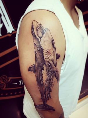 #shark 