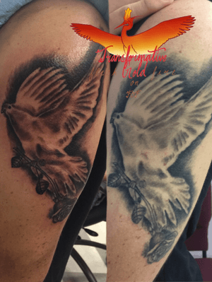 Fresh & Healed side by side pic of a dove I did on the upper bicep. Tattoo is 2 years old now. TRANSFORMATIVEGOLD IG: @TattsByGold