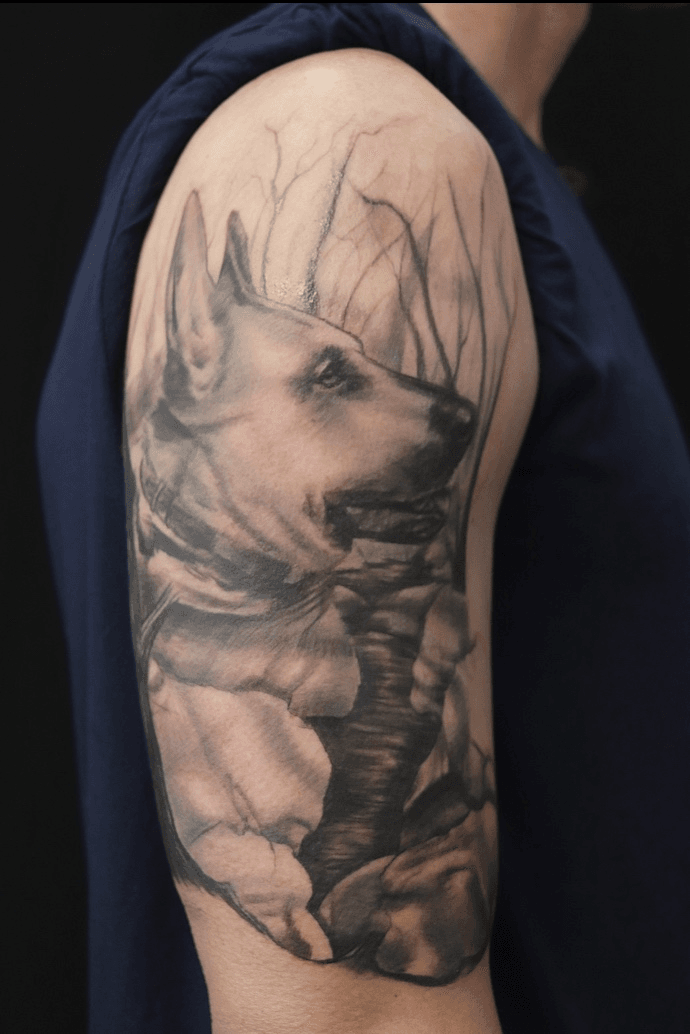 Belgian Malinois Tattoo  German shepherd tattoo Special tattoos Tattoo  designs