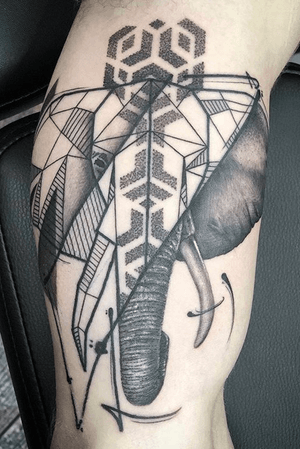 3rd Elephant Done by Bertina Rens @swallowink @balmtattoo_benelux  #blackngrey #graphictattoo #graphicdesign #mandala  #tattoos #tattooart #inked #art #dotwork #dotworktattoo #leg #legtattoo #tattoo #ink #inkstagram #tattoos #tatoeage #thebesttattooartists #tattooart #tattooartist #leg #legtattoo #elephanttattoo #omfgeometry #dailydotwork