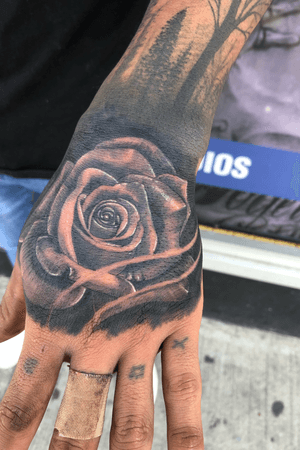 Rose i did to cover some old lettering on client 