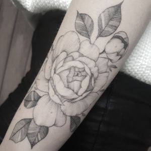 Peony#naturetattoo #flowertattoo #floraltattoo #peonyflower #peony #delicada #delicate #armtattoo #blackandgreytattoo #dotworktattoo #dotwork #feminine #womantattoo #woman #flower #strzygatattoo #akurczewska #Poland #polandtattoos #inkedup 