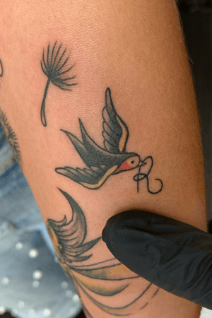 Rondine tatuaggio Traditional tattoo Firenze studio