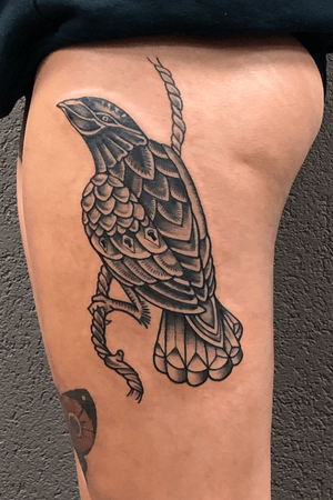 Done by Stevie Guns @swallowink @balmtattoo_benelux #tat #tatt #tattoo #tattoos #tattooart #tattooartist #blackandgrey #blackandgreytattoo #oldschool #oldschooltattoo #birdtattoo #bird #raven #raventattoo #leg #legtattoo #ink #inkee #inkedup #inklife #inklovers #instagood #instalife #instaphoto #instapic #ink_sta_gram #art #bergenopzoom #netherlands