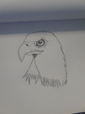 Eagle head 