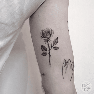 Small Fineline B&G Rose-Tattoo on the inner upper arm. Size: ~ 12cm.
