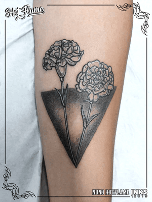 Carnations & Triangle