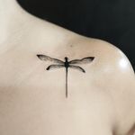 #Dragonfly #libelula #libelulatattoo #lines #blacktattoo #blackwork #insecto #libelula 