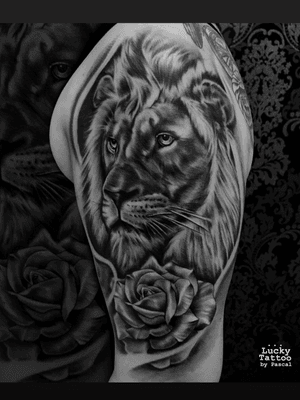 ~Idea:Lion and Rose. ~Studio:Lucky Tattoo by Pascal. ~Artist:Moses Mendelssohn.