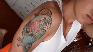 Tatuaje cicatrizado Papagayo full color Citas disponibles #curado #neotraditionaltattoo #colors #solid #bold #fineline #art #uio #quito #ecuador #healedtattoo #oldg #og 