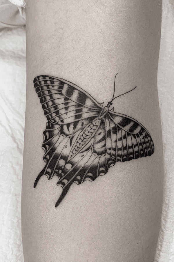 Tattoo from The Darling Parlour