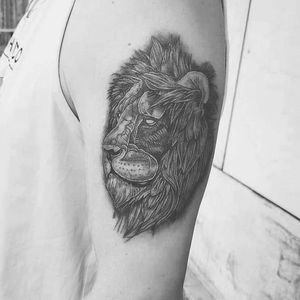 Lion Spektra xion Silverback ink Withe nuclear 