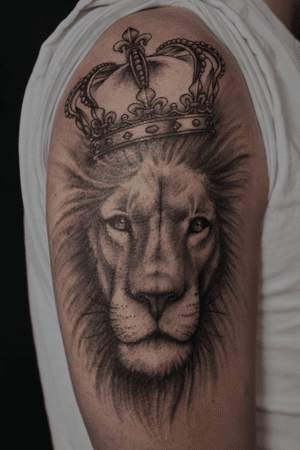 Lion king 