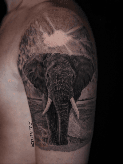 Client traveled from Alabama to get this elephant. #elephant #elephanttattoo #realism #realistictattoo #blackandgrey #blackandgreytattoo #guyswithtattoos #knoxville #knoxvilletattoo