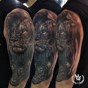 León! 😾🔥 . . . #tats #tattoo #tattuagen #tattoolife #tatuaje #tattuaggi #lion #leon #sleeve #cover #blackandgrey #realistic #cordoba #cba #argentina #arg #tatuaje #tatuadores