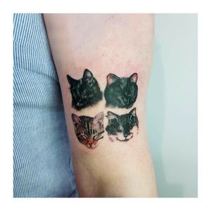 Tattoo artist Yablokova Ira, KyivInstagram/FB: YablokovaTattoo#татумастеркиев #tattookiev #kievtattoo #yablokovatattoo #ukrainetattoo #tattooukraine #tattoo_culture_uab #cattattoo #cat 