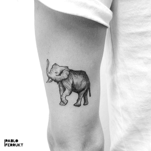 Elephant for @marsbuestad , thanks so much! For appointments call @tattoosalonen or drop by the studio.#blackworktattoo ....#tattoo #tattoos #tat #ink #inked #tattooed #tattoist #art #design #instaart #copenhagen #blackworktattoos #tatted #instatattoo #københavn #tatts #tats #amazingink #tattedup #inkedup#berlin #copenhagentattoo #traditionaltattoos #blackworkers #berlintattoos #black #blacktattoo  #tattooberlin #oldschooltattoo