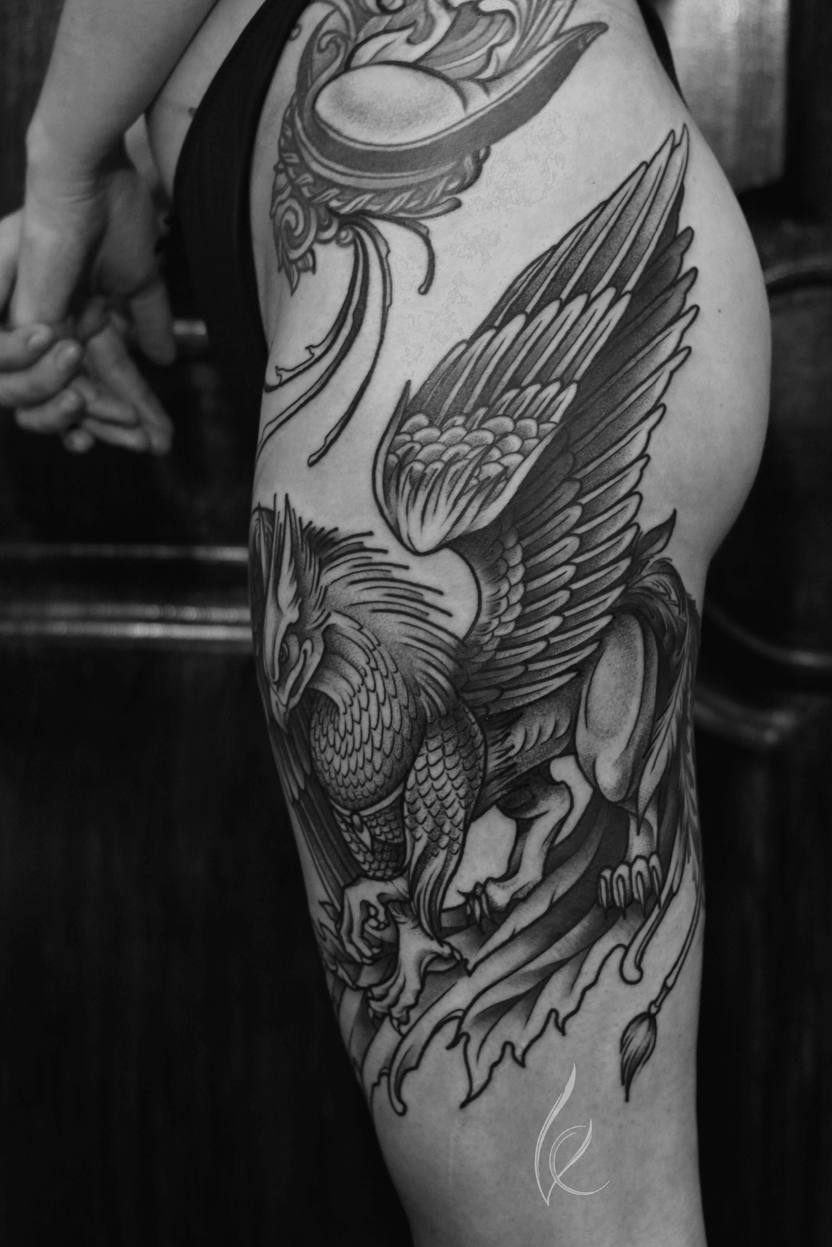 Griffin tattoo by David Choquette  Encre Noir in Montreal Quebec   rtattoos