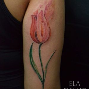 Tulip#colortattoo #tulipa #tulip #botanicaltattoo #watercolor #aquarela