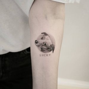 Count your age by friends, not years.Count your life by smiles, not tears.-John Lennon.#tattoo #tattoos #inked #dog #dogsofinstagram #realism #fineline #details #cute #tattoooftheday #small #tinytattoo #lucky #womansbestfriend #blackandgrey #blxckink #equilattera #tattoodo #truecanvas 