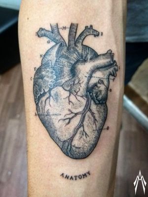 Coração feito em um estudante de Medicina Veterinária.