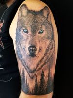 Wolf tattoo done at Old Ink Bucuresti