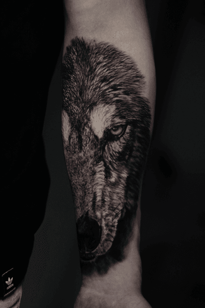 4h de trabalho feito usando @intenzetattooink e @tattooloverscare #wolf #wolftattoo #animal #tattoo #ink #blackandgrey #blackandgreytattoo #intenzefamily 