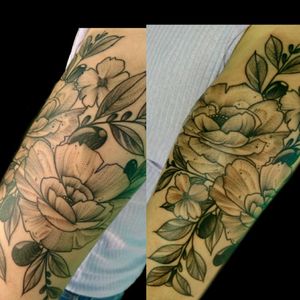 Tatu de ayer qe no subi.. #tattoo #inked #ink #botanica #olivo #flores #linework #whipeshading #whipeshadingtattoo #flowerstattoo #olivotattoo #luchotattoo #luchotattooer #pergamino 