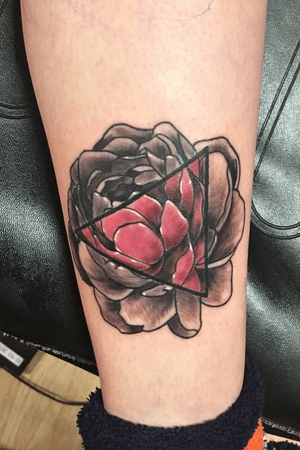 Black and gray/ color peony flower