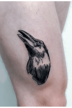 #raven #bird #birdshead #handdrawn #figurative #oneoftattoo #ink #inkbrush #penandink #drawing #sketch #dots #lines #black #darkart #tattoo #tattoos #illustration #illustrator #いれずみ #刺青 #さしえ #挿絵 #tatouage #jùnn #junn #junntattoo #atelierjunn #tattooer #tattooamsterdam #amsterdam