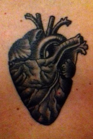 Anatomical Heart
Artist: Enzo Brandi @ Palermo Tattoo Expo 2019