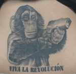 Revolution chimp. #chimp#blackandgrey 