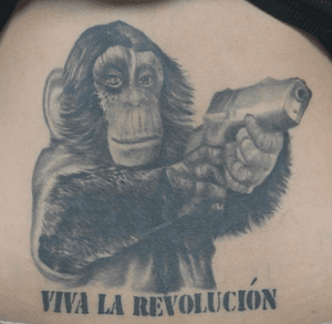 Revolution chimp. #chimp#blackandgrey 