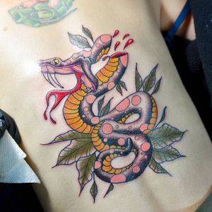 Custom neotraditional severed striking snake tattoo #snaketattoo #snakes #neotraditionalanimal #fangs 