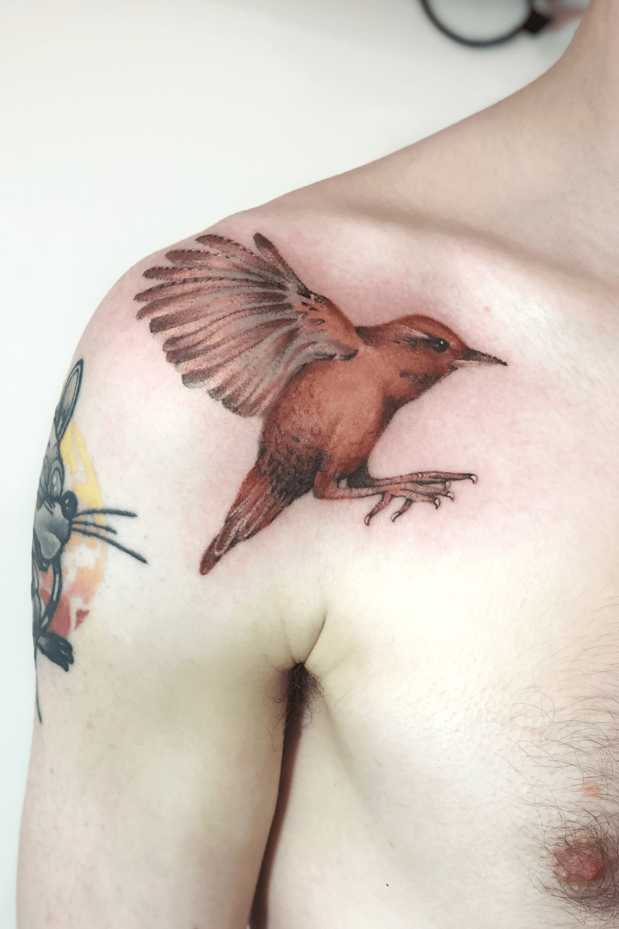 4 x Wren Bird Temporary Tattoos TO00012179  Amazonca Everything Else