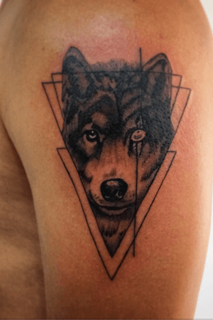 #wolf #lobo #bng #realistic 