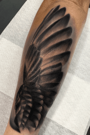 •Wing• Tattoo realizado en @iguanatattoo - Santa Cruz de Tenerife . . . #tattoo #wing #alas #tattos #tattooed #tattooist #tattoer #tattooartist #tattooideas #realistictattoos #tattoodesign #ink #inked #españa #spain #tenerife #madrid #barcelona 