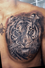 Cover-Up tiger tattoo
