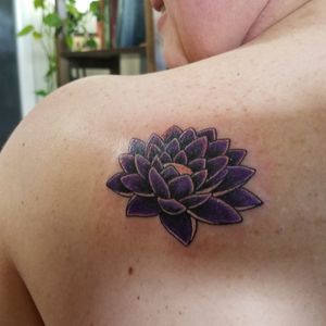 This is my BEAUTIFUL Lotus flower that covers 25 years of something that never even existed. 