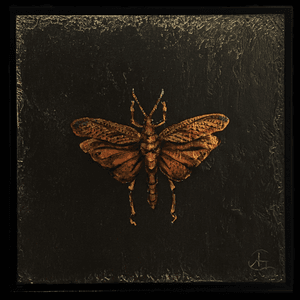 “Moth #1” Gold leaf and mixed media on panel. 8”x8”. Available for collecting. 