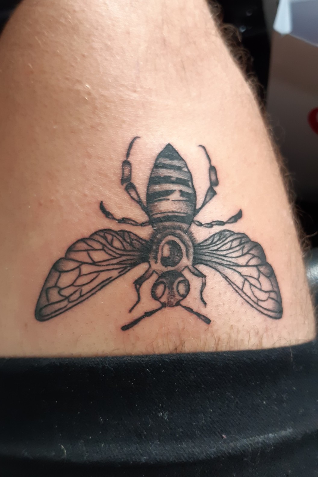 The Bees Knees by Melissa Fusco TattooNOW