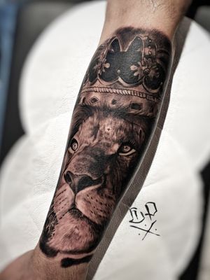 Stunning black and gray tattoo by Mauro Imperatori featuring a majestic lion wearing a crown on the forearm.