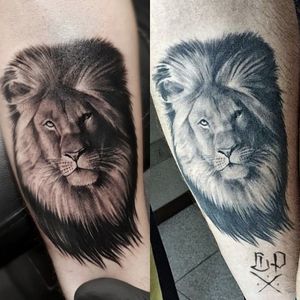 Achieve a fierce and powerful look with this stunning black and gray lion tattoo by Mauro Imperatori. Perfect for those who appreciate the beauty of realism art.