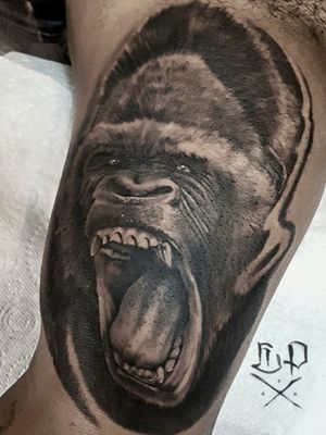 Experience the power and grace of the gorilla with this stunning blackwork and realism tattoo by Mauro Imperatori.
