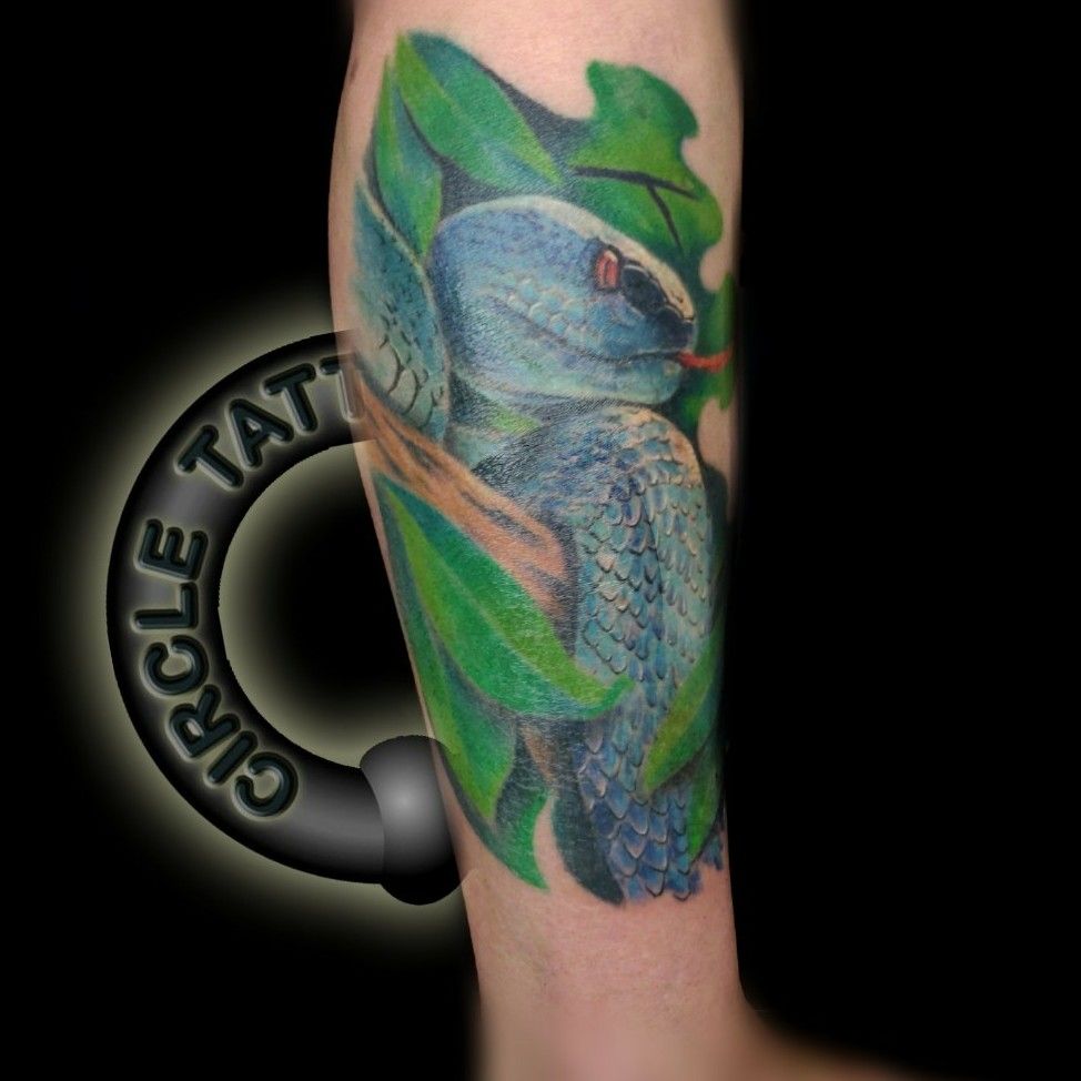 Eddie David on Twitter First small tattoo for 2018 A different take on a  ouroboros featuring a Borneon pit viper eating its own tailThanks ms  Smita eagleviewtattooproducts tattoocloud tattoofilter  inkstinctsubmission skinartmag TAOT 