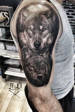 Impressive upper arm tattoo of a realistic black and gray wolf by Mauro Imperatori.
