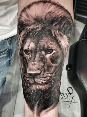 Experience the power and majesty of the lion with this stunning black and gray realism tattoo by Mauro Imperatori.
