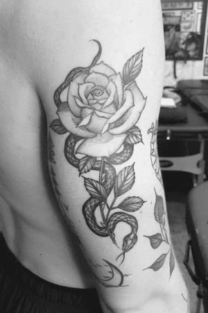 Healed snake and rose 